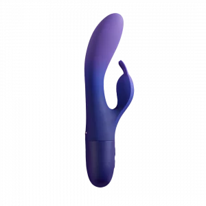 DOBLE PROBLEMA VIBRADOR DUAL