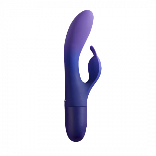DOBLE PROBLEMA VIBRADOR DUAL